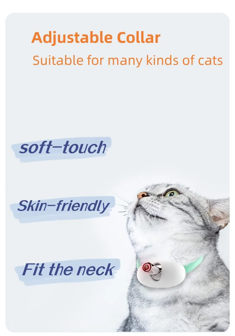 Amusing Collar for Cat